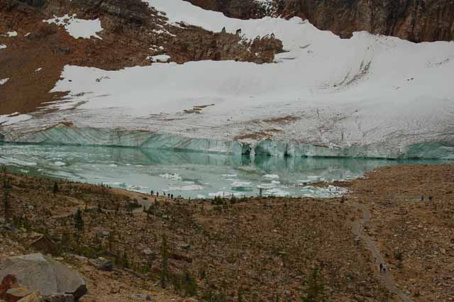 Mt. Edith Cavell